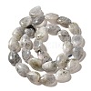 Natural Labradorite Beads Strands G-I377-A21-3