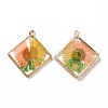 Transparent Clear Epoxy Resin Pendants RESI-L036-11KCG-03-1