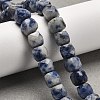 Natural Blue Spot Jasper Beads Strands G-H078-C20-01-3