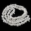 Natural Rainbow Moonstone Chip Beads Strands X-G-C195-01-3