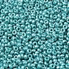 Baking Paint Glass Seed Beads SEED-P006-03A-31-3