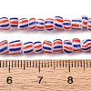 Handmade Lampwork Beads Strands BLOW-K001-01B-13-2