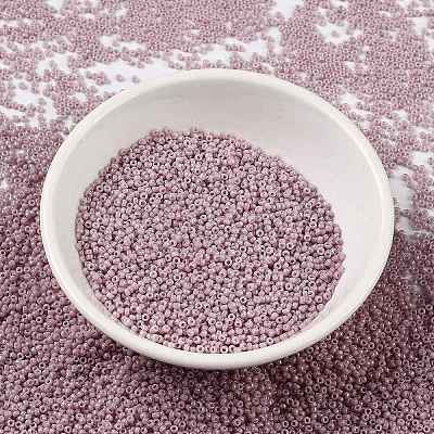 MIYUKI Round Rocailles Beads X-SEED-G009-RR0599-1
