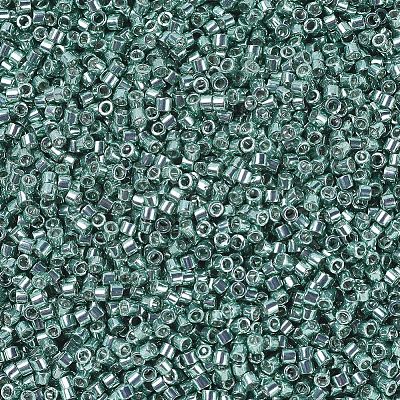 MIYUKI Delica Beads SEED-MY11-DB0416-1