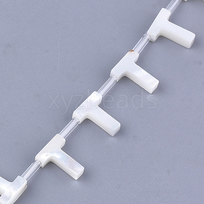 Natural Sea Shell Beads X-SHEL-T012-60T-1