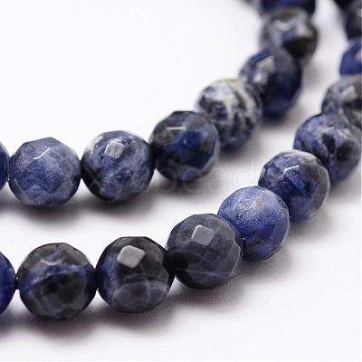 Natural Sodalite Beads Strands G-D840-19-8mm-1