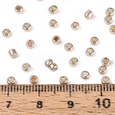 8/0 Glass Seed Beads X1-SEED-A017-3mm-1107-1