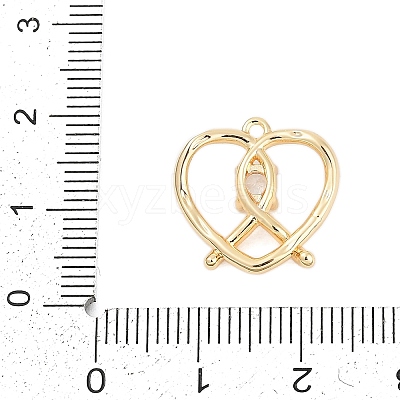 Brass Micro Pave Cubic Zirconia Pendants ZIRC-P122-01D-G01-1