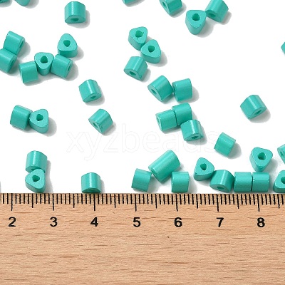 Baking Paint Glass Bead SEED-H002-K-D304-1