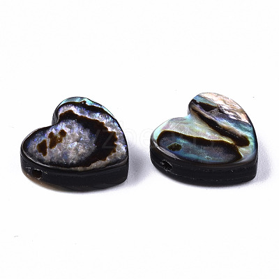 Natural Abalone Shell/Paua Shell Beads SSHEL-T014-15-1