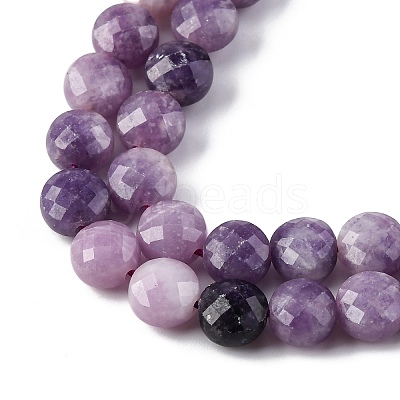 Natural Lepidolite/Purple Mica Stone Beads Strands G-C179-A38-03-1