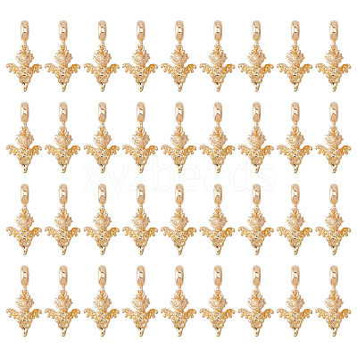36Pcs Alloy European Dangle Charms MPDL-CA0001-06G-1