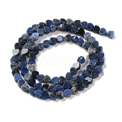 Natural Sodalite Beads Strands G-M403-A08-01-1