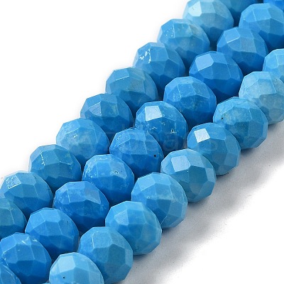 Dyed Natural Howlite Beads Strands G-G023-A01-01B-1