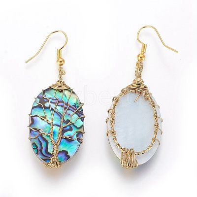 Abalone Shell/Paua Shell Dangle Earrings EJEW-L235-02G-1