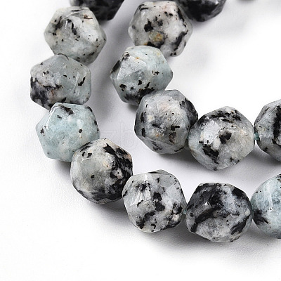 Dyed Natural Sesame Jasper Beads Strands G-T139-8mm-47J-1
