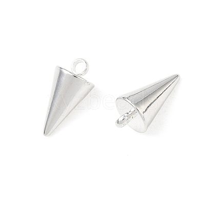 304 Stainless Steel Pendants STAS-G214-47S-02-1