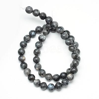 Natural Larvikite Beads Strands G-R345-8mm-33-1