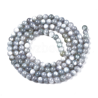 Natural Freshwater Shell Beads Strands X-BSHE-T009A-01K-1
