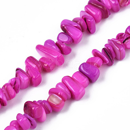 Natural Trochid Shell/Trochus Shell Beads Strands SHEL-S258-080-B04-1