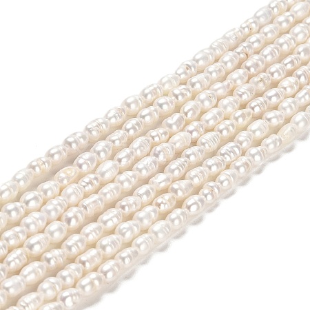 Natural Cultured Freshwater Pearl Beads Strands PEAR-E016-146-1