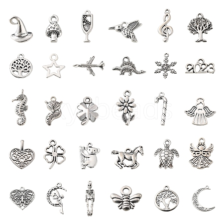 60Pcs 30 Style Tibetan Style Zinc Alloy Charms TIBEP-FS0001-09-1