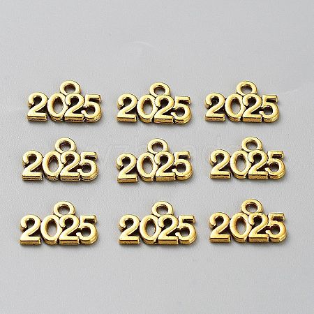 Tibetan Style Alloy Pendants FIND-TAC0028-16AG-1