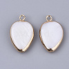 Edge Plated Freshwater Shell Pendants X-SHEL-S276-37-2