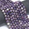 Natural Lepidolite/Purple Mica Stone Beads Strands G-K389-A32-01-2