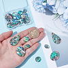 18Pcs 4 Styles Natural Paua Shell Cabochons SHEL-WR0001-10-3