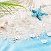 SUPERFINDINGS 26Pcs 26 Style 
Natural Freshwater Shell Charms SHEL-FH0001-12-4