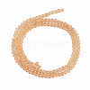 Glass Beads Strands EGLA-A034-T1mm-D23-2