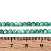 Natural Freshwater Shell Beads Strands BSHE-T009A-01J-4