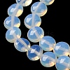 Opalite Beads Strands G-T047-A16-01-4