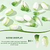 Olycraft 30Pcs 2 Style PVC White Radish & Chinese Cabbage DJEW-OC0001-26-4