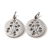 Non-Tarnish 304 Stainless Steel Charms LS-STAS-D050-07P-03-2
