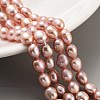 Natural Cultured Freshwater Pearl Beads Strands PEAR-P062-29G-X-1