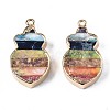 Rainbow Color Natural Imperial Jasper Pendants G-S359-326-2