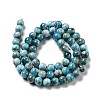 Natural Apatite Beads Strands G-G858-01A-3