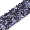 Natural Iolite Beads Strands G-S361-4mm-005-1