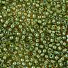 TOHO Round Seed Beads SEED-JPTR11-0946-2