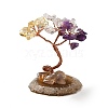 Natural Citrine & Amethyst & Quartz Crystal Chips Tree Display Decorations DJEW-C003-01D-1