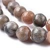 Natural Zebra Jasper Beads Strands G-F676-01-6