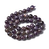 Natural Amethyst Beads Strands G-G779-8MM-05A-4