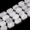 Natural Rainbow Moonstone Beads Strands G-C098-A21-01-1