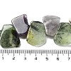 Natural Prehnite & Amethyst Beads Strands G-P528-K08-01-4