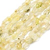 Natural Gold Prehnite Beads Strands G-K395-A07-01-2