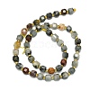 Natura Eagle Eye Stone Beads Strands G-I376-D49-01-2