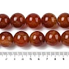 Natural Red Agate(Dyed & Heated) Beads Strands G-H087-A01-20MM-4