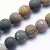 Natural Ocean Agate/Ocean Jasper Beads Strands G-G716-02-8mm-1